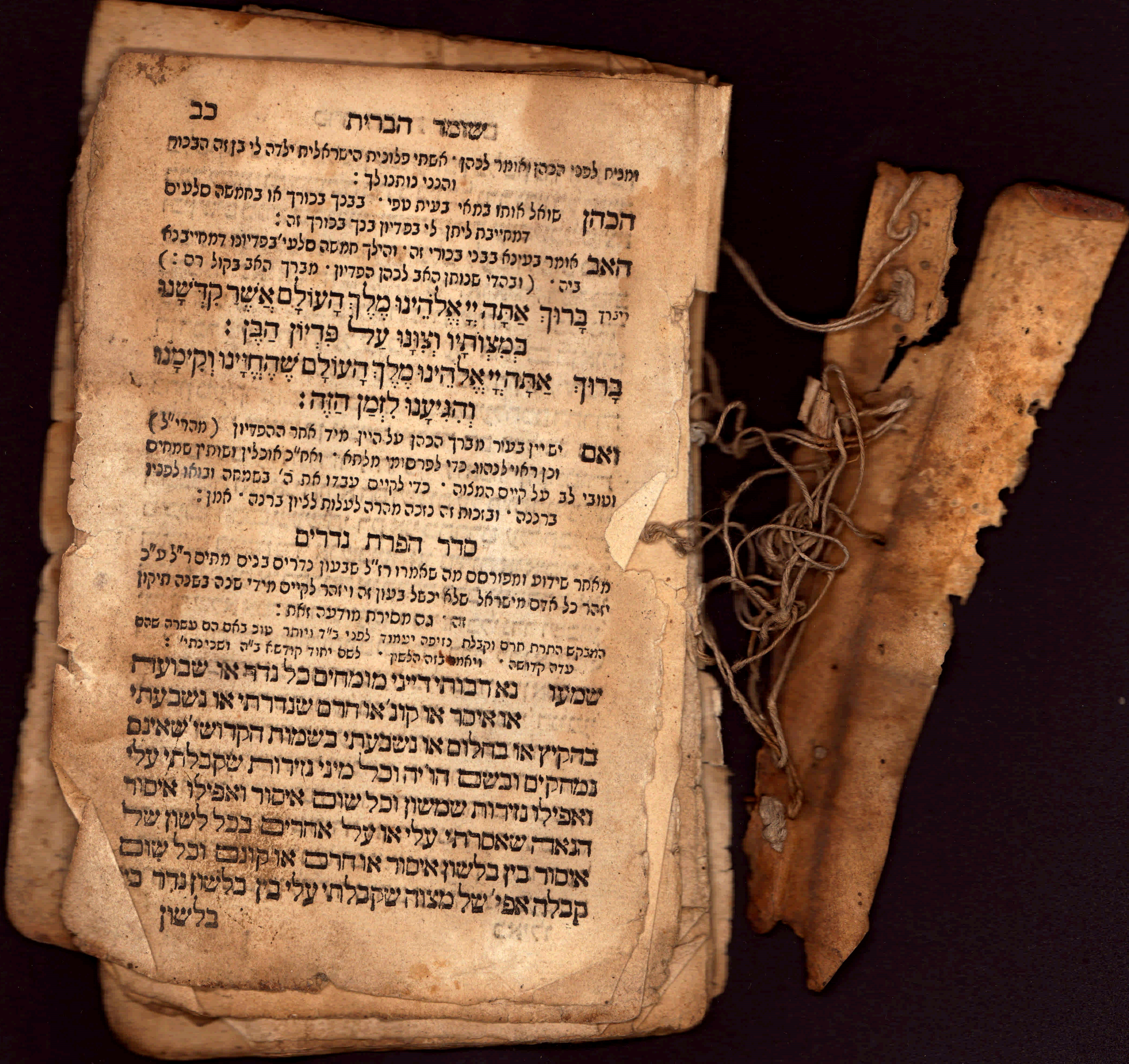 Mohelbuch Niederzissenii