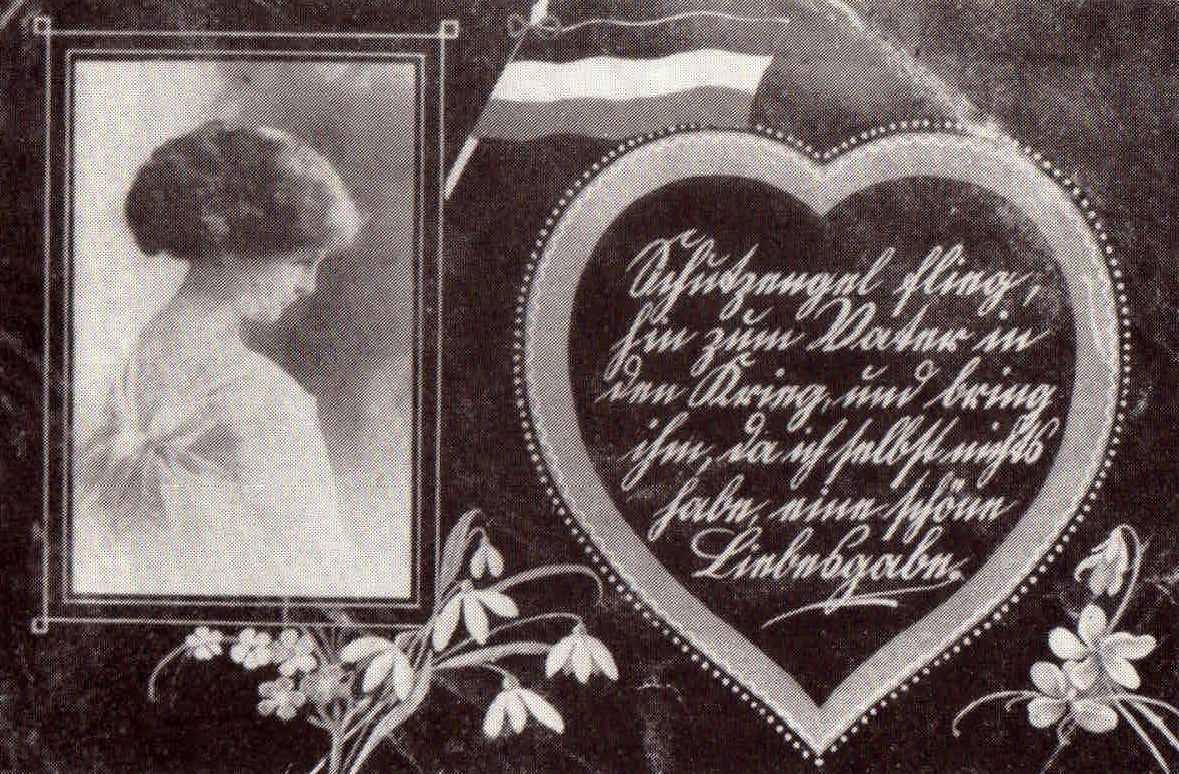 Postkarte Forst