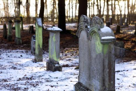 Eingebunden in das Bündel des Lebens, jüdischer Friedhof in Sohren